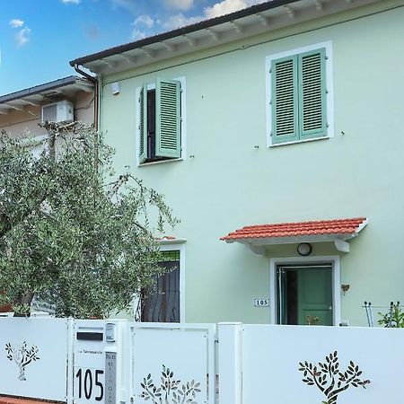 B&B Ulivo Gaio San Miniato Exteriör bild