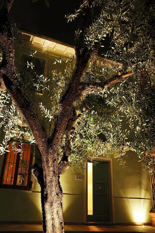 B&B Ulivo Gaio San Miniato Exteriör bild