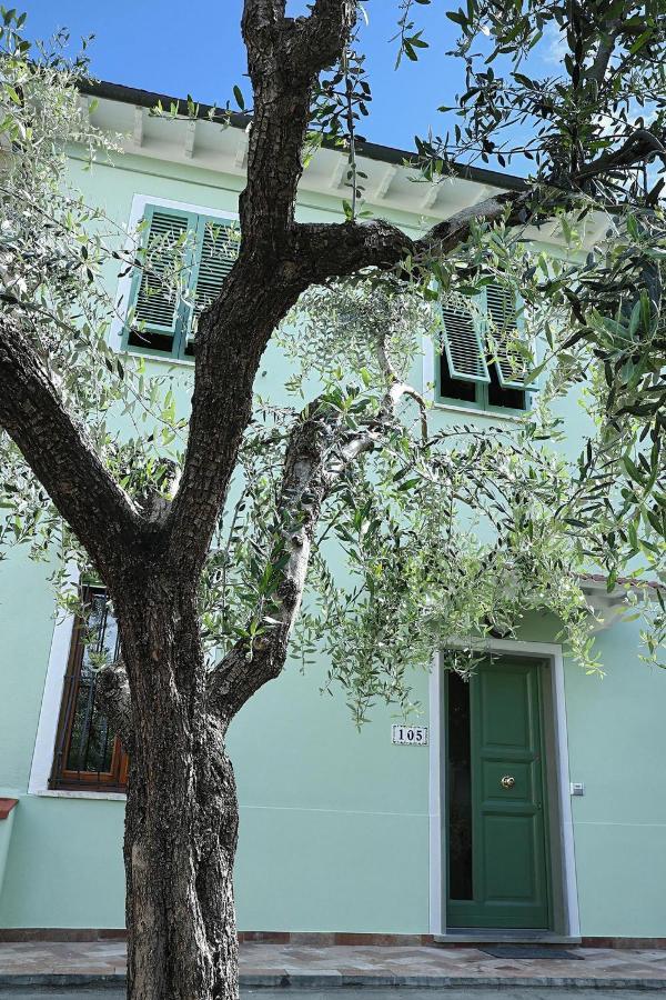 B&B Ulivo Gaio San Miniato Exteriör bild